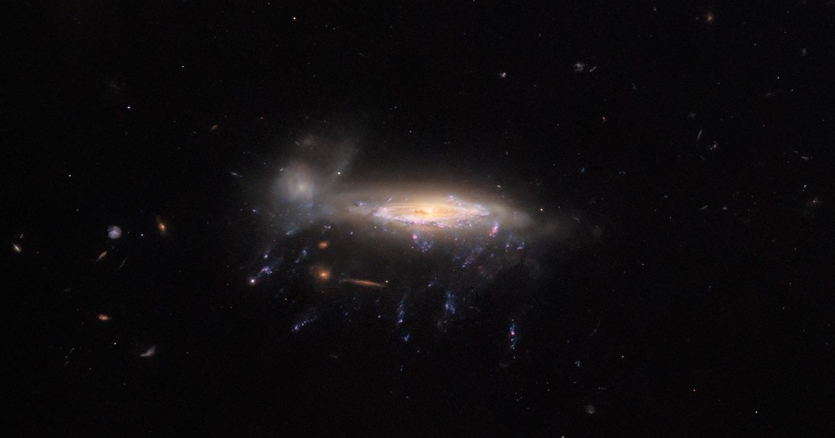 Most Distant 'Jellyfish Galaxy' Discovered, 8.5 Billion Years Old: It Says Something Important About the Universe
