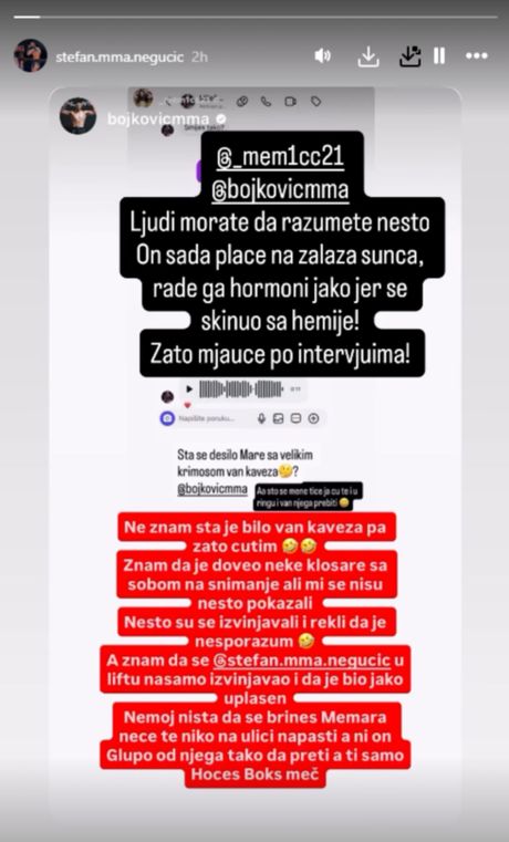 Stefan Negucić, Marko Bojković, Miloš Janičić