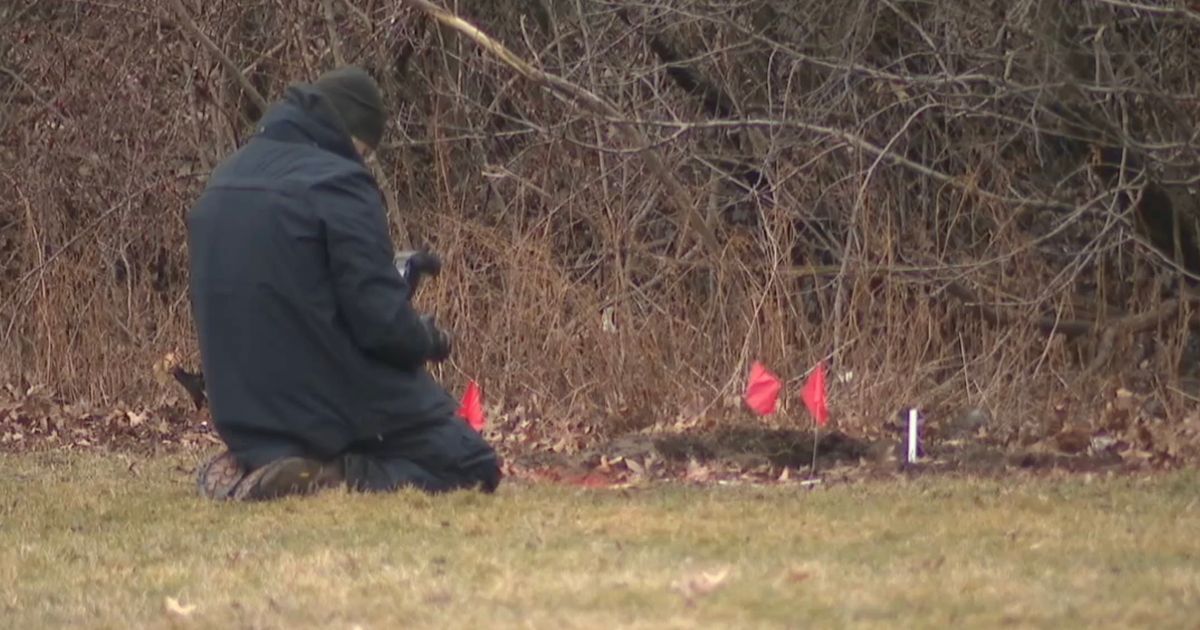 HORROR! Dog in the park sniffed out suitcases with girls' bodies, other shocking discoveries followed!