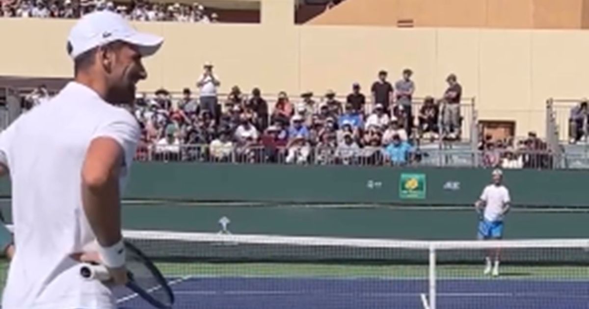 Girl at training asked Novak to marry her: The response of another fan from the stands genuinely made Djokovic laugh