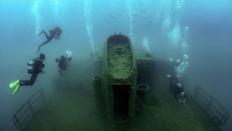 Olupina broda, ronioci