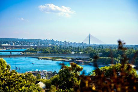 Beograd, Sava