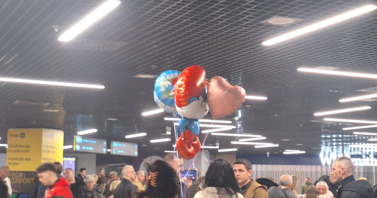 276 passengers from Dubai landed in Belgrade: 14 babies evacuated on Air Serbia flight