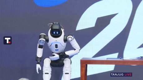 Strategija Srbija 2030, Aleksandar Vučić