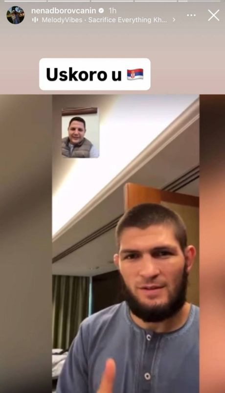 Nenad Borovčanin, Habib Nurmagomedov