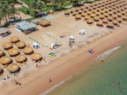 Sales Representative