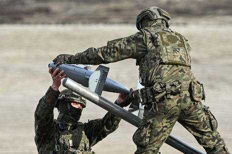 Poljska dron