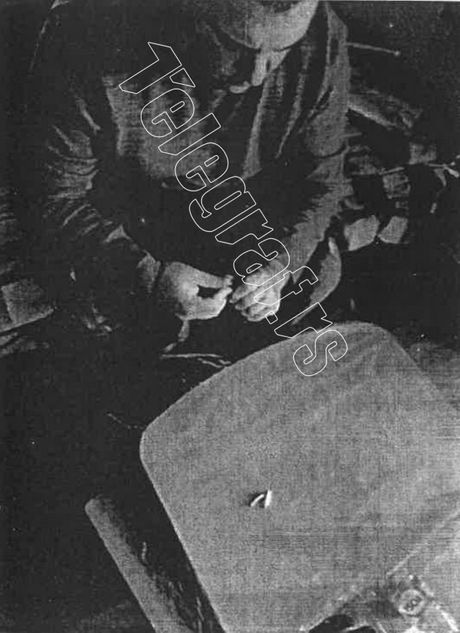 Zdravko Radojević, poruke, Veljko Belivuk