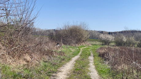 Dečak, Obrenovac, kidnapovanje