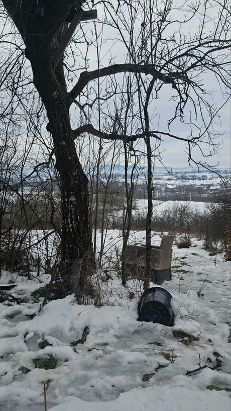 Srdjan Nedeljkovic iz Kragujevca