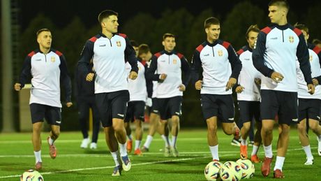 Veljko Paunović, Fudbalski savez Srbije