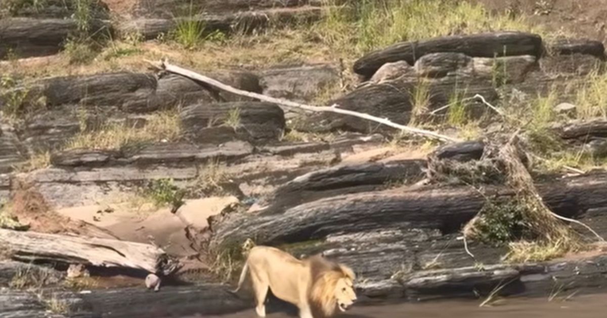 Death Lurks Beneath the Surface of the Talek River: From Hunter to Hunted in Seconds