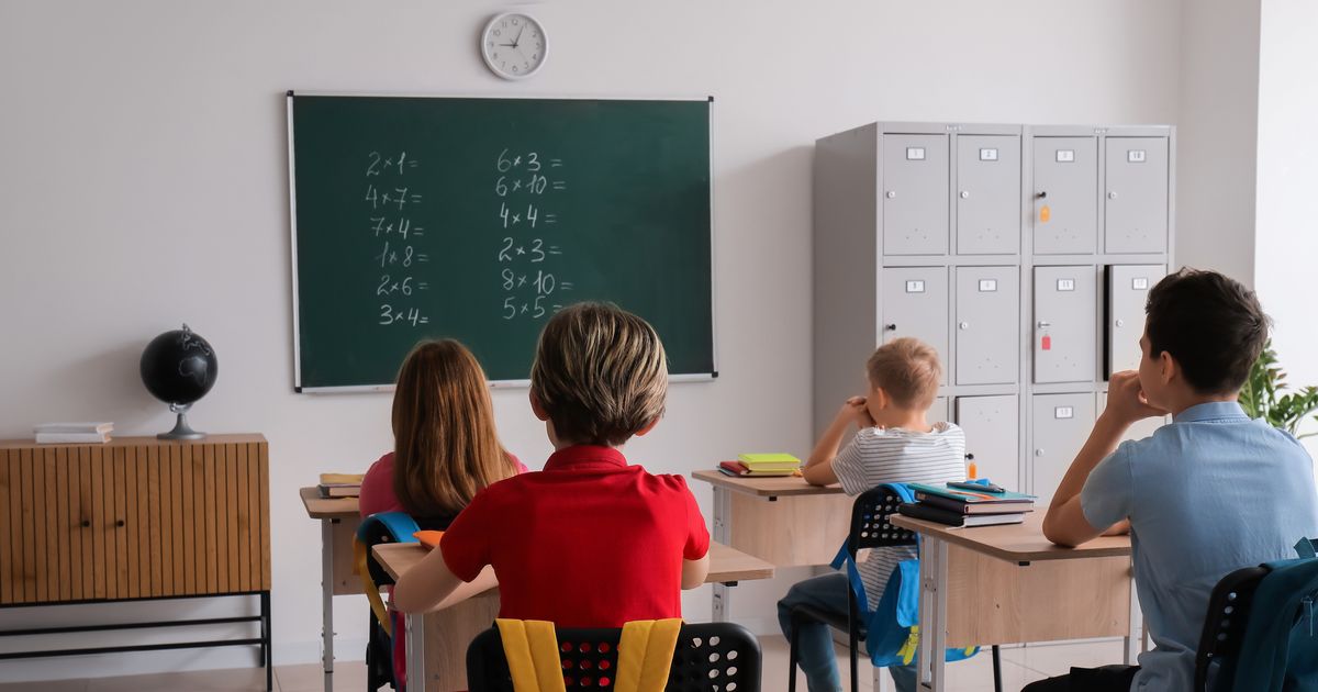 Teacher's Role in Serbia DRASTICALLY Changed! Here's What They Can Do Today, and What Action Would Immediately Cost Them Their License