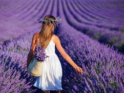 Provansa, Francuska, devojka, lavanda