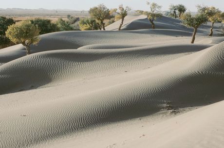 Pustinja Takla Makan