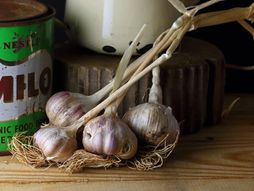 beli luk, čuvanje belog luka, luk, povrće