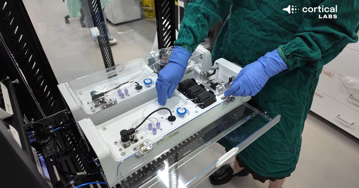 Human brain as a processor: First data centers with living cells being built, they also have a life support system