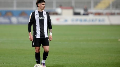 Milan Vukotić