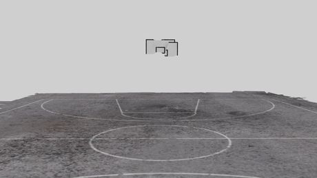 Predrag Terzić, slika