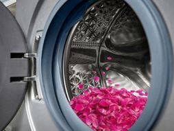Veš mašina, latice ruža