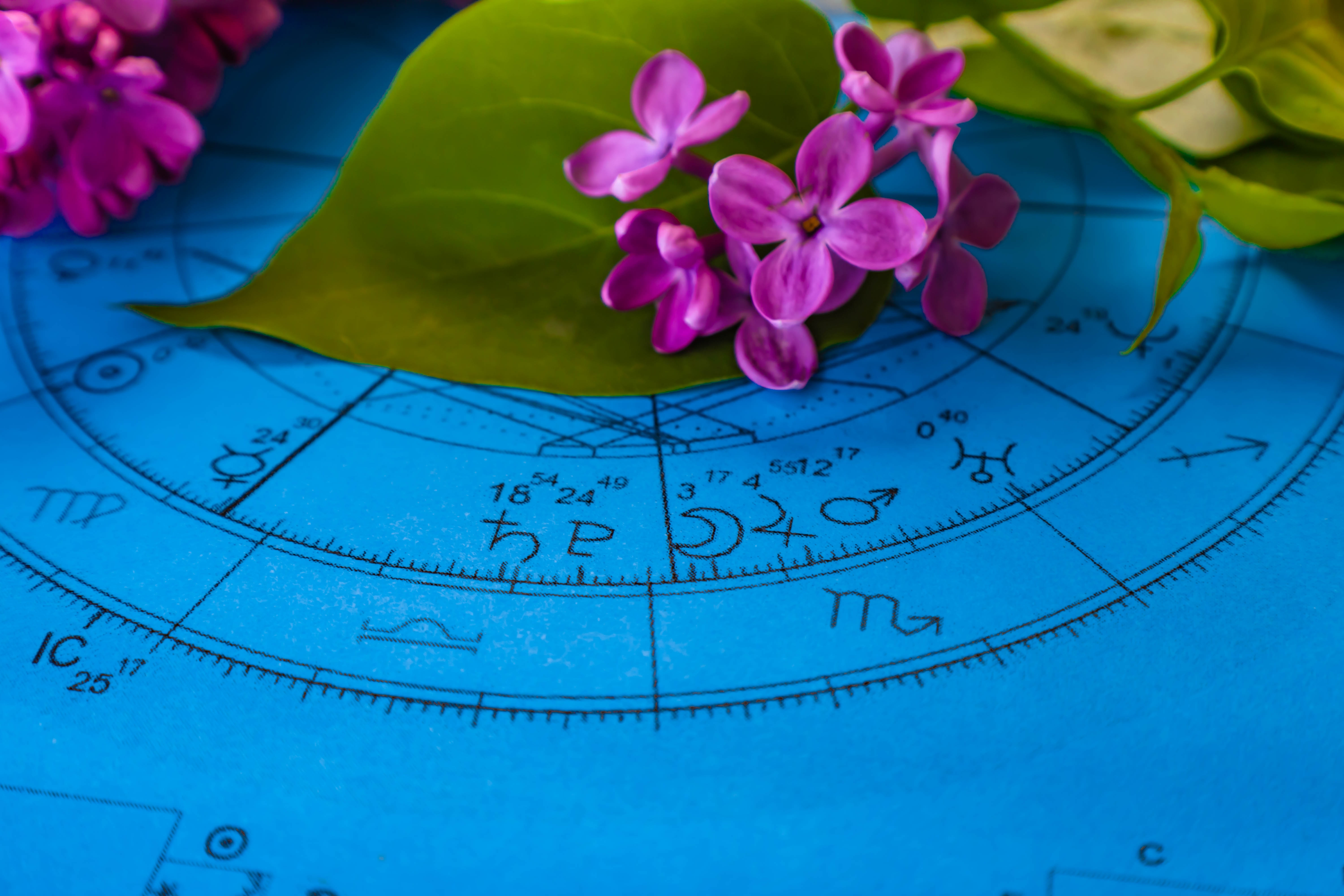 DNEVNI HOROSKOP ZA 19. MART: Ovnovi su naglašeno energični, Lavovi znaju šta žele, Ribe osećaju pritisak posla