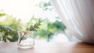 Grančica ruzmarina na prozoru može promeniti atmosferu u domu - evo zašto je ljudi sve češće koriste