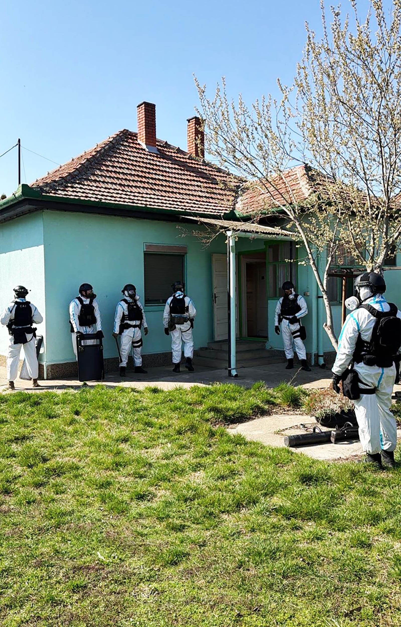 Uhapšeni dileri iz Subotice: UKP i SAJ upali i pronašli 180 stabljika i 12 kiograma biljne materije