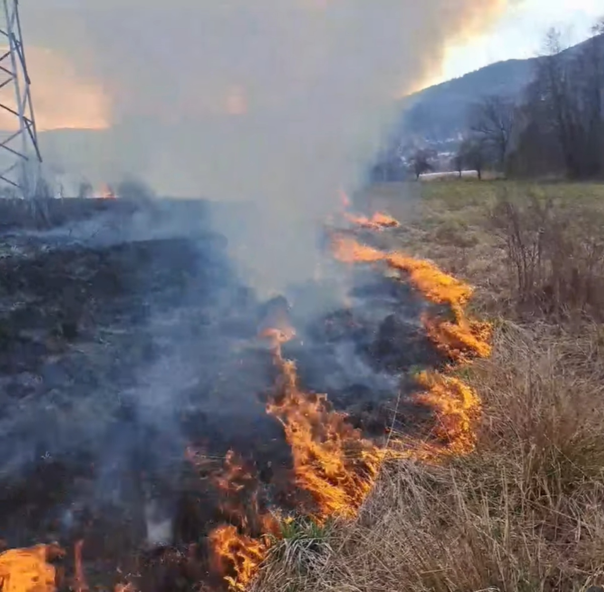 Vatrena stihija kod Štrpca! Veliki požar i dim paraju nebo, hitno upućen APEL građanima