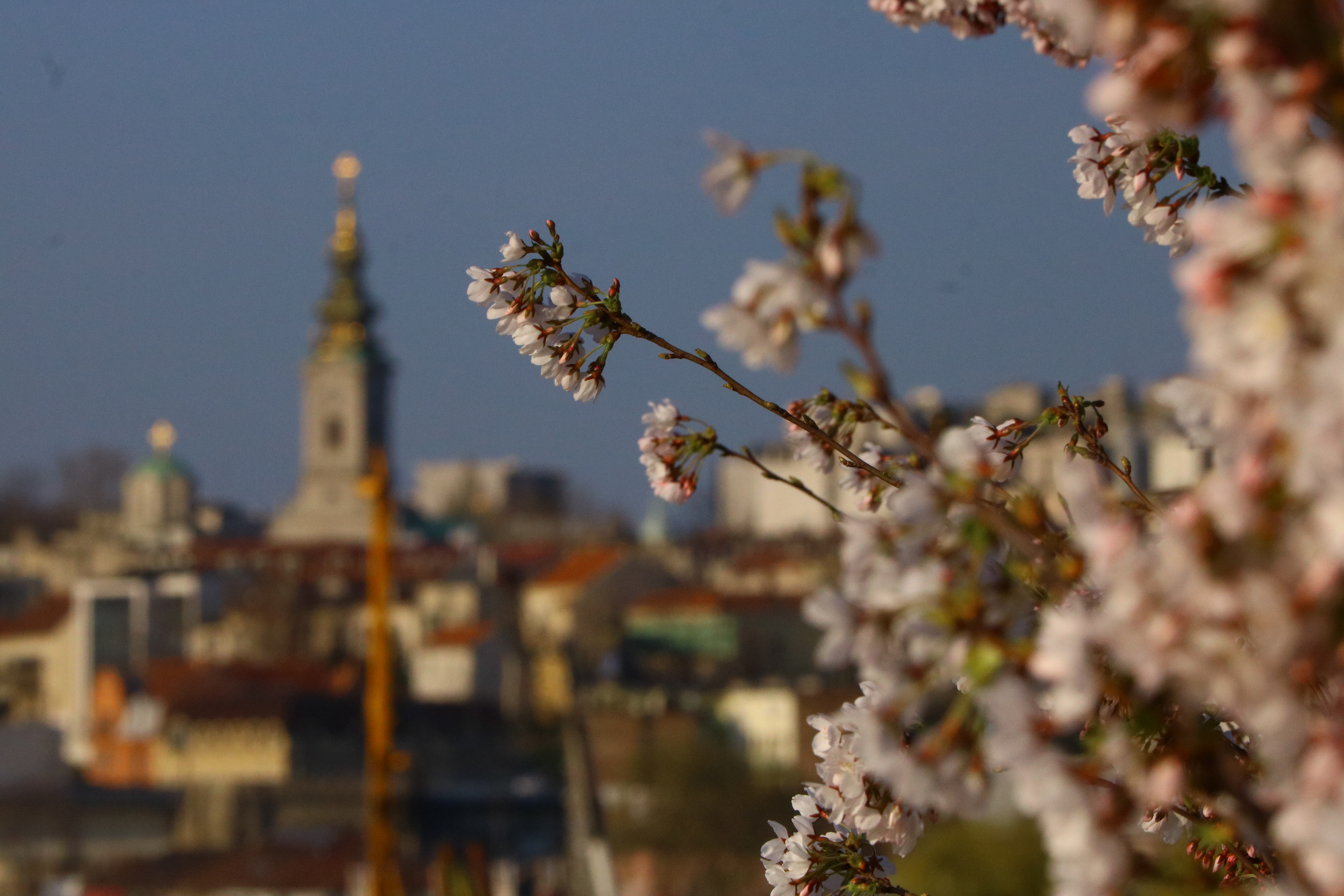 Počinje proleće, ali ne kada mislite! Tačan sat i zanimljiv detalj o ravnodnevnici