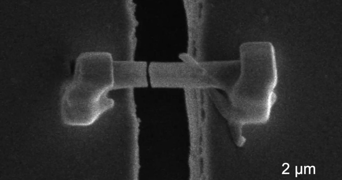 Zašto litijum-jonske baterije propadaju? Naučnici pronašli odgovore u mikroskopskom „trnju“