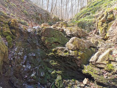 Manastir Stjenik, Čačak