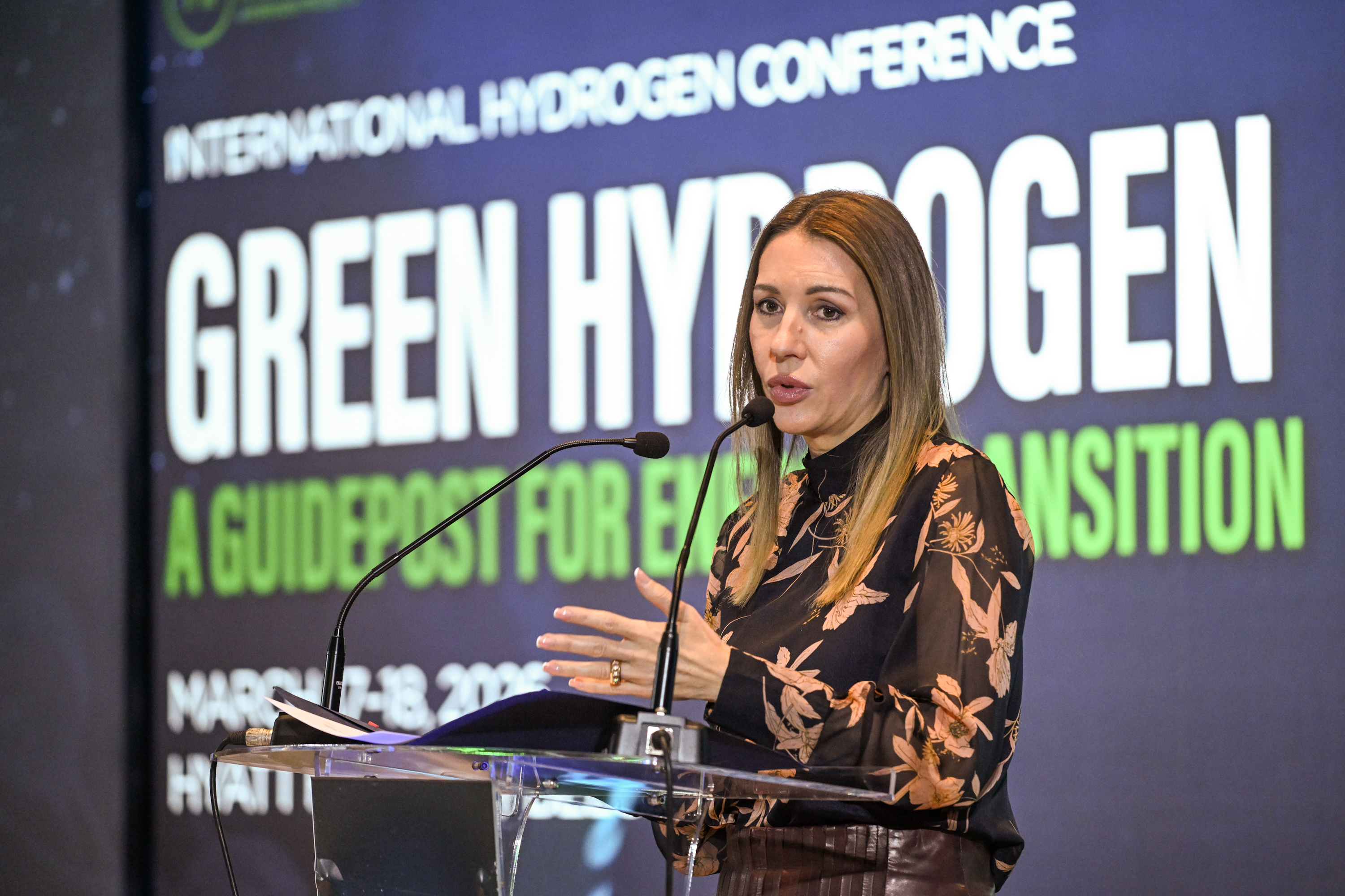 Đedović Handanović: Srbija gradi regulatorni okvir i pilot projekte za zeleni vodonik do 2040.