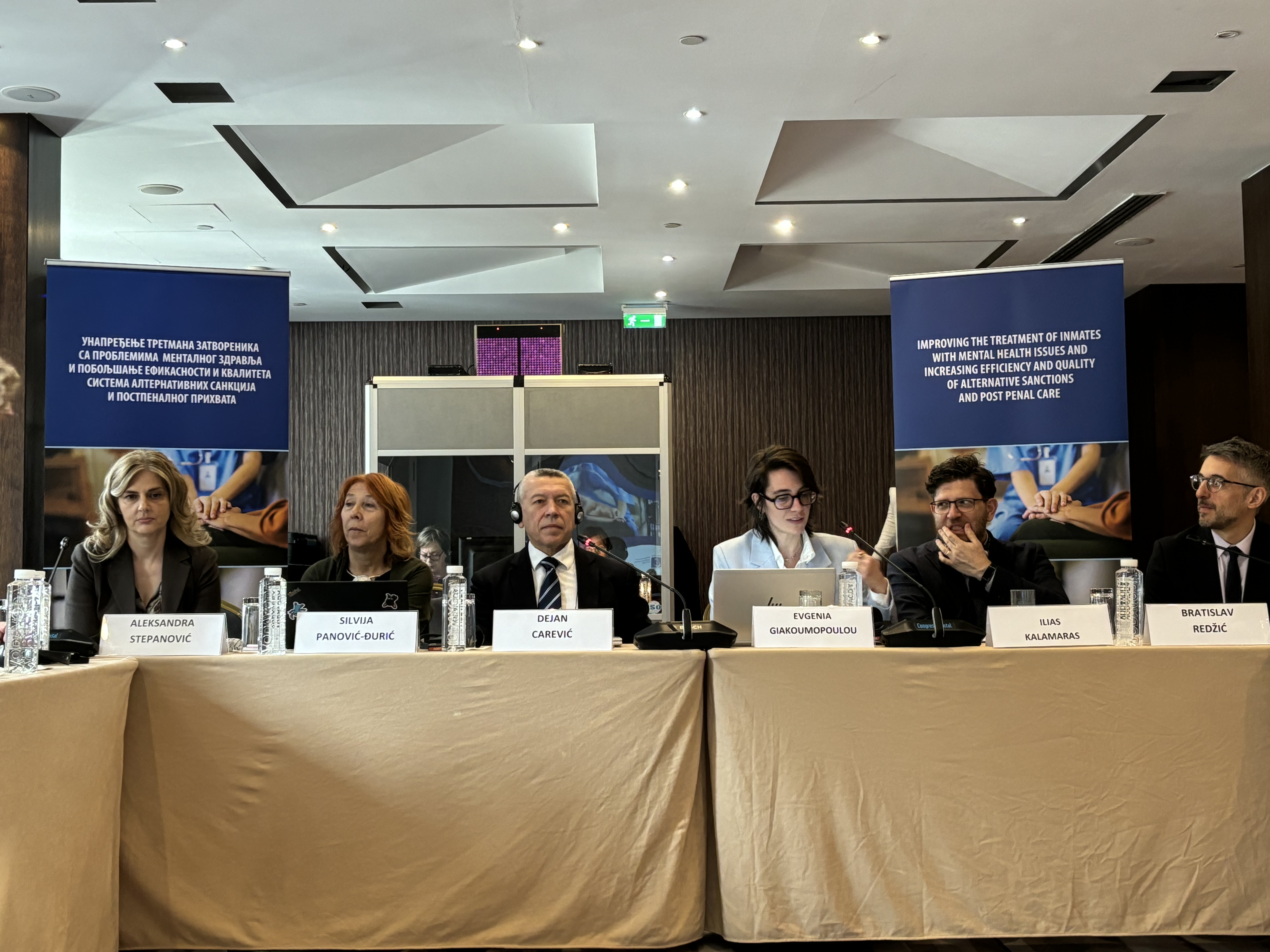 Carević: Uz pomoć eksperata Saveta Evrope radimo na poboljšanju tretmana lica sa mentalnim smetnjama