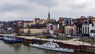 Šok scena u centru Beograda: Zver slobodno luta prestonicom, kruži neverovatna fotografija