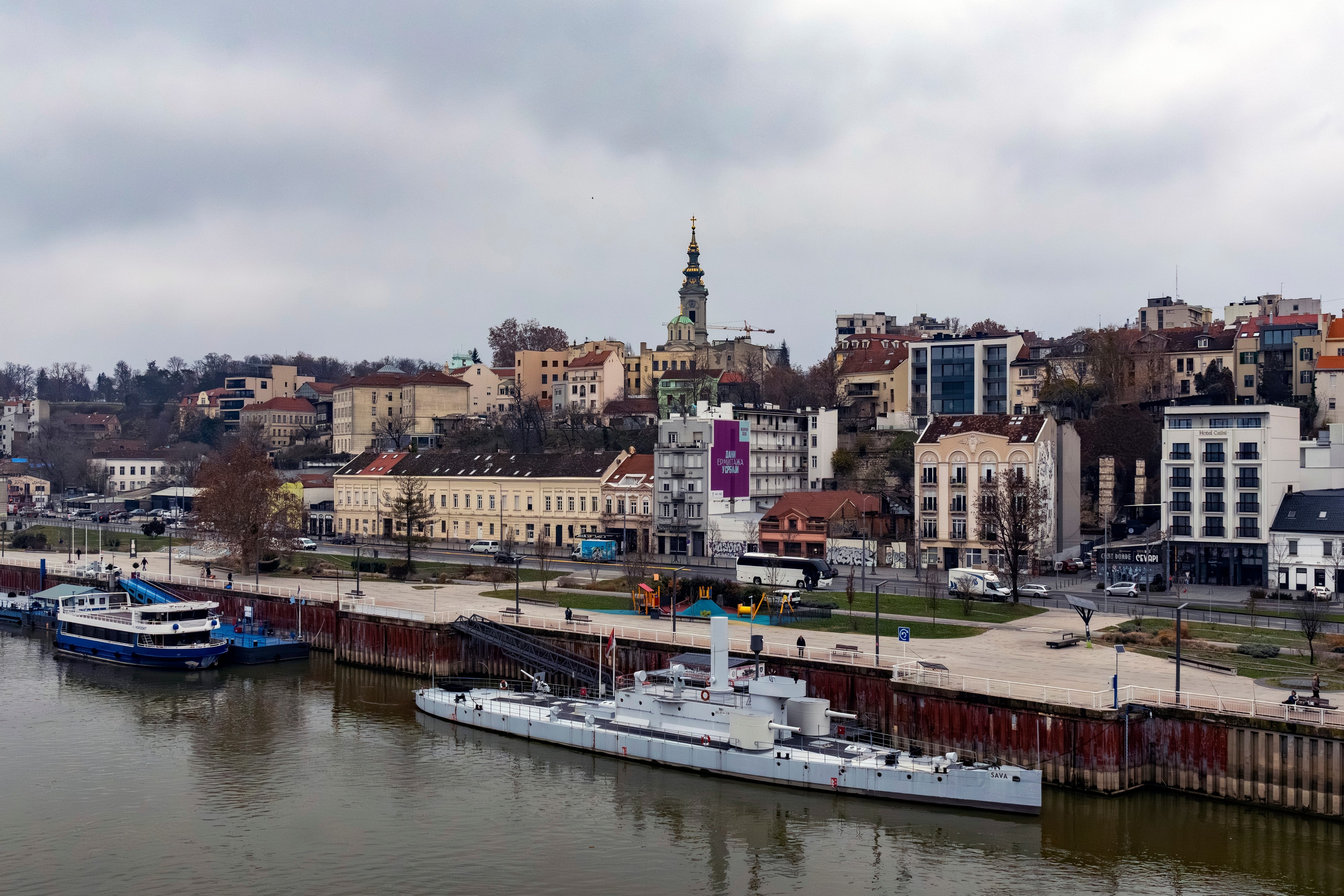 Šok scena u centru Beograda: Zver slobodno luta prestonicom, kruži neverovatna fotografija