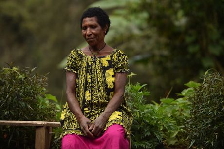 Vesticarenje, papua new guinea