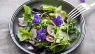 Najzdravija salata se bere u dvorištu: U martu vam superhrana bukvalno raste pred očima, samo je uberite
