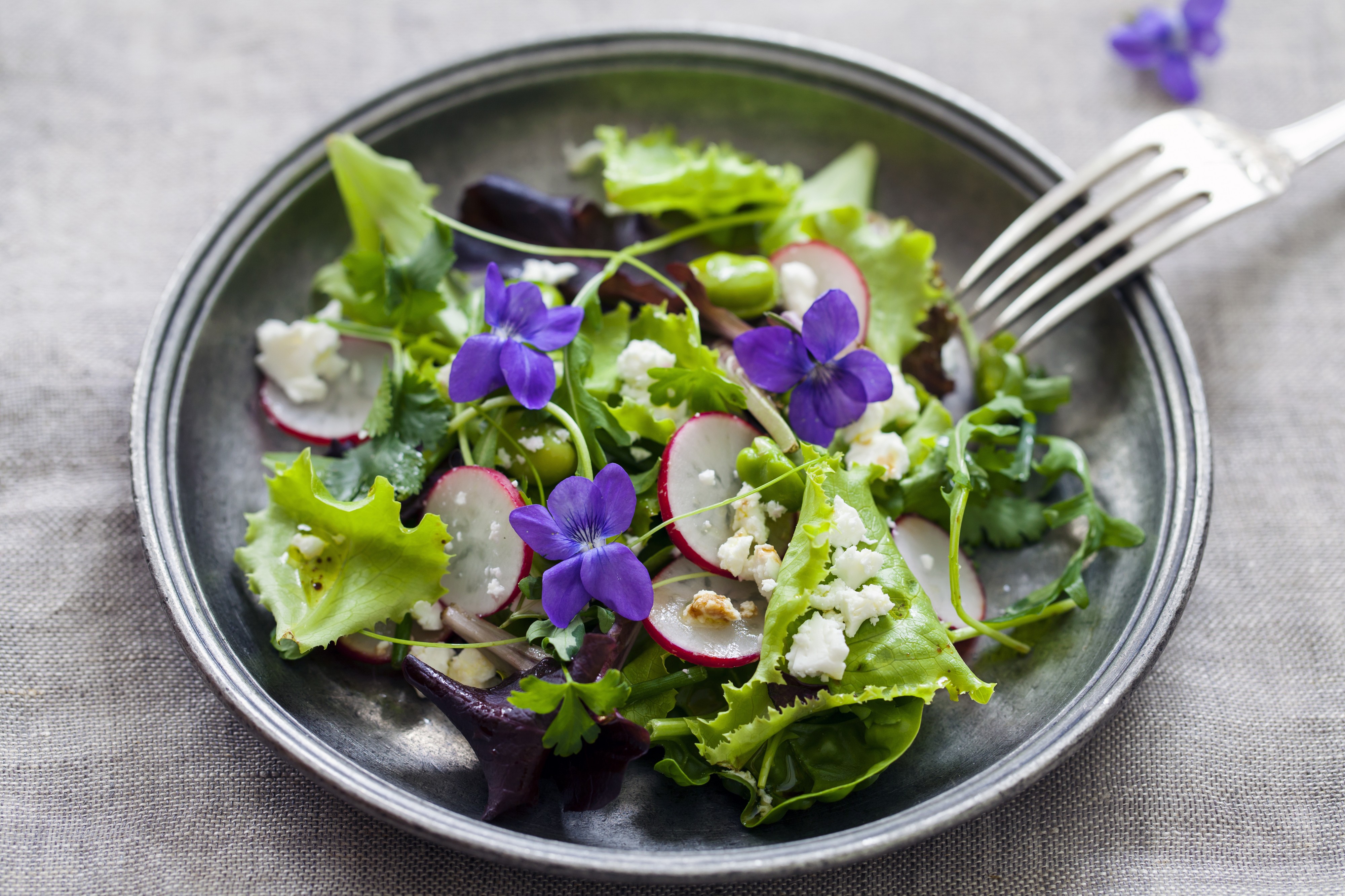 Najzdravija salata se bere u dvorištu: U martu vam superhrana bukvalno raste pred očima, samo je uberite