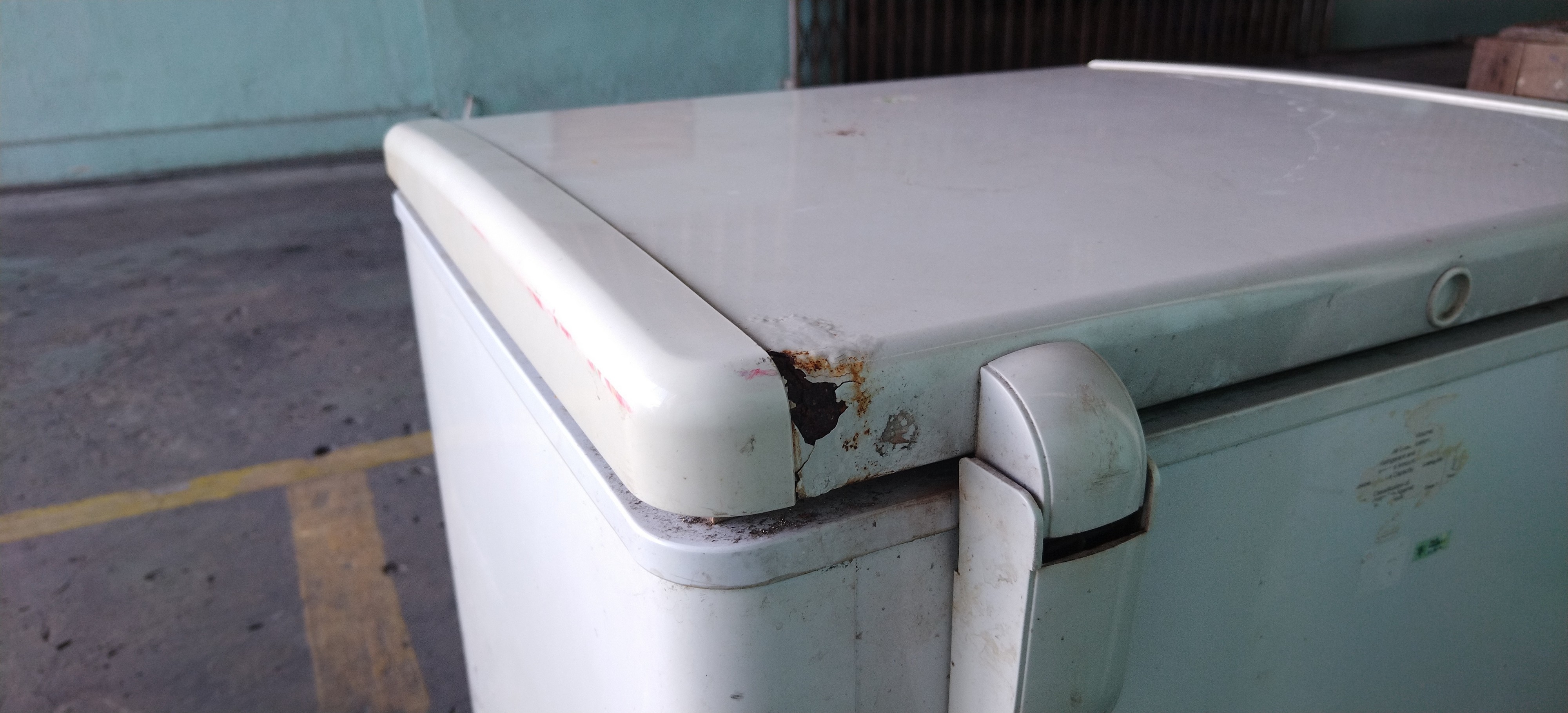 Žena u zamrzivaču krila 100 MRTVIH MAČAKA, policajci zanemeli od šoka: Fotografije su JEZIVE!