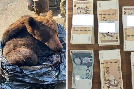 Šverc Stara Gradiška