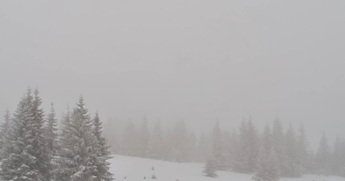 Drama in Montenegro: Snow grips cities, parts of Cetinje and Nikšić without power for hours