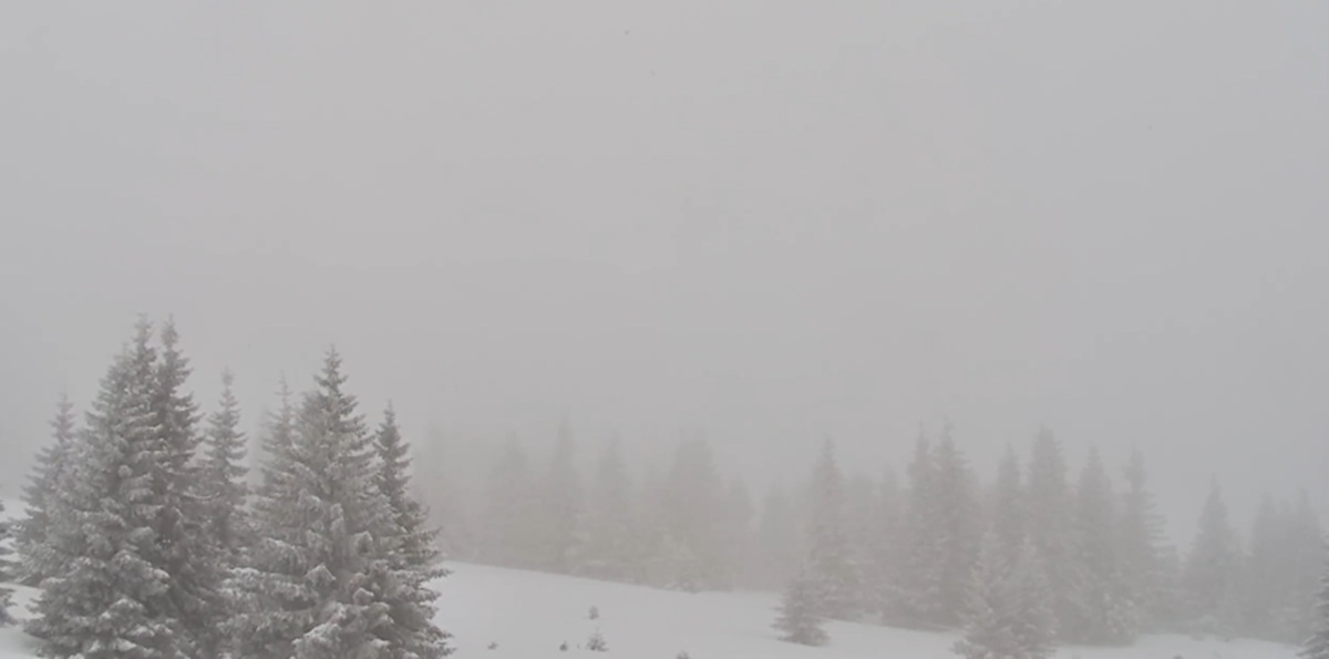 Drama u Crnoj Gori: Sneg okovao gradove, delovi Cetinja i Nikšića satima bez struje