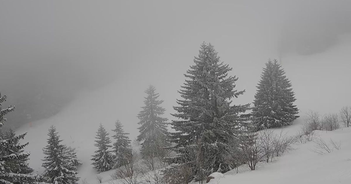Kao da je decembar: Srpska planina okovana snegom, spustila se magla, NE VIDI SE PRST PRED OKOM