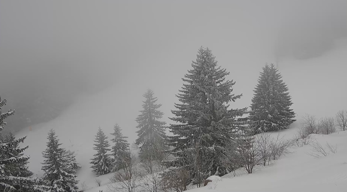 Kao da je decembar: Srpska planina okovana snegom, spustila se magla, NE VIDI SE PRST PRED OKOM