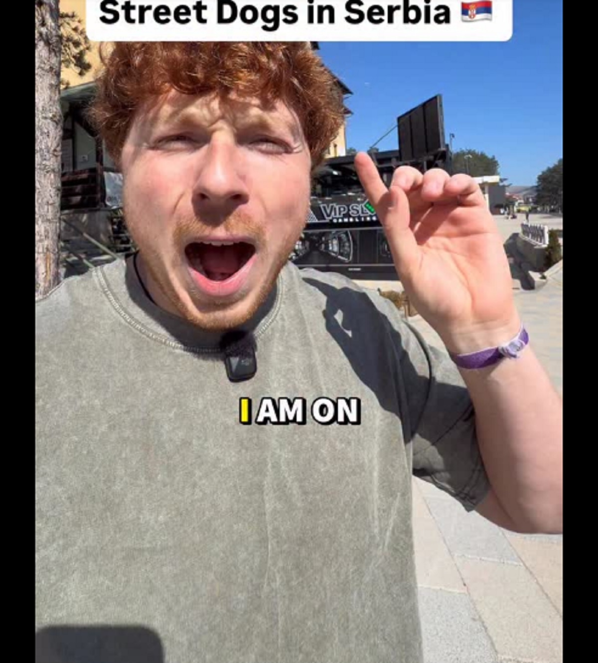 Amerikanac ostao u šoku: Obišao 105 država, a onda se susreo sa uličnim psima u Srbiji!