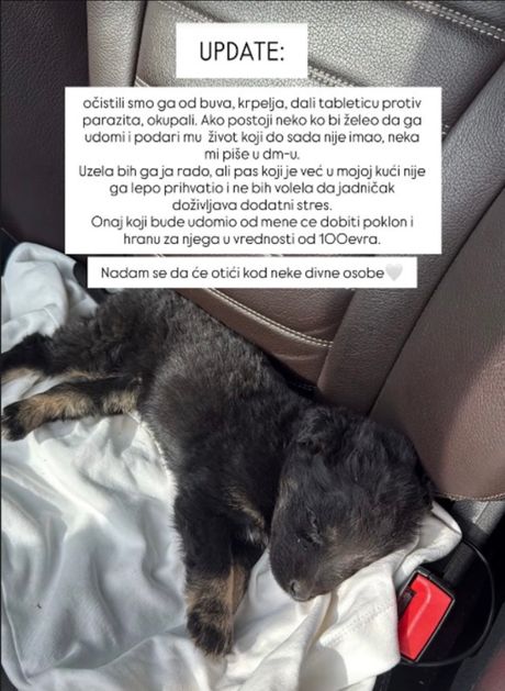 Teodora Džehverovic