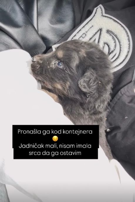 Teodora Džehverovic