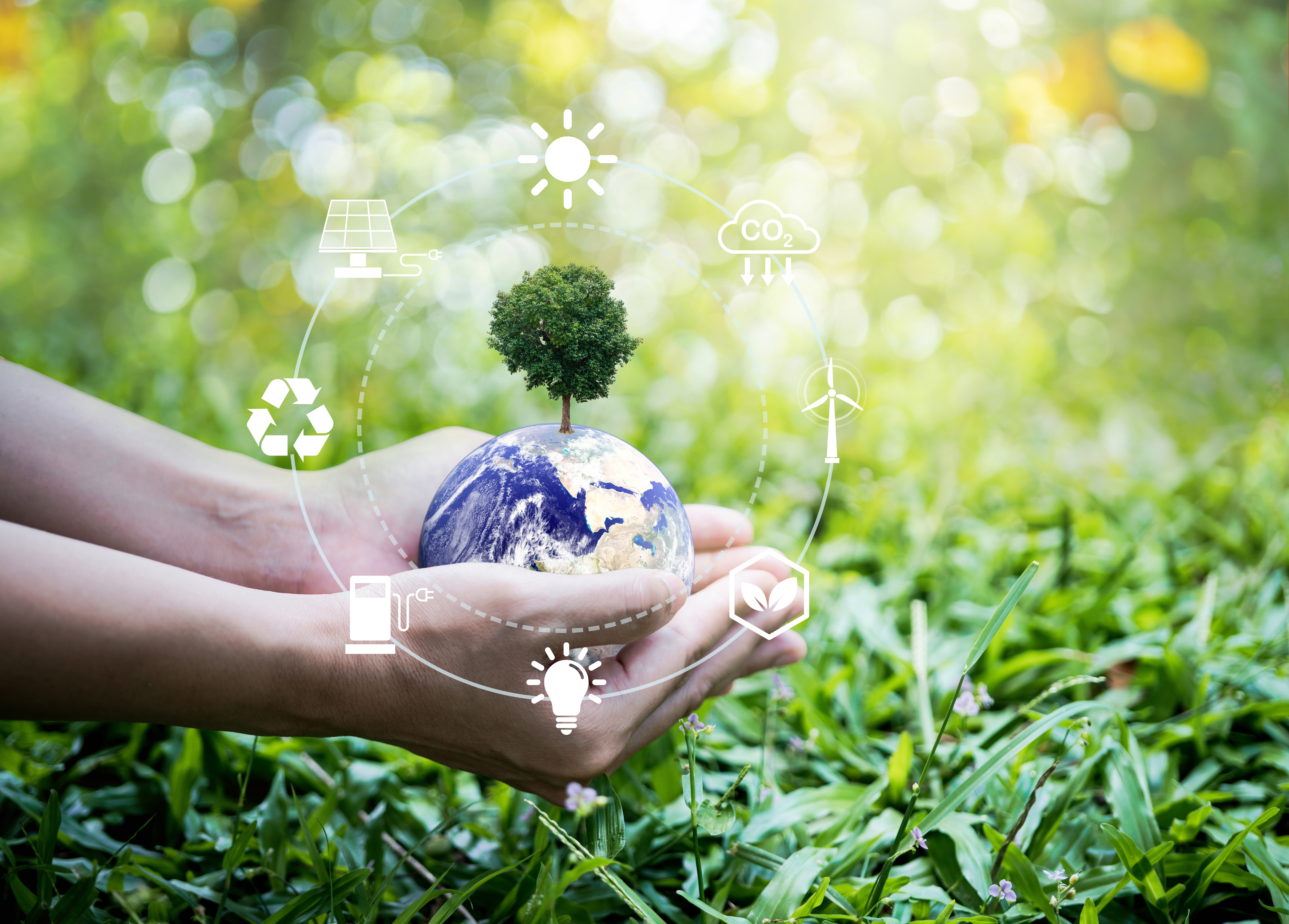 ESG obuke za javna preduzeća u Beogradu i Nišu: Kako do efikasnijeg i odgovornijeg poslovanja?