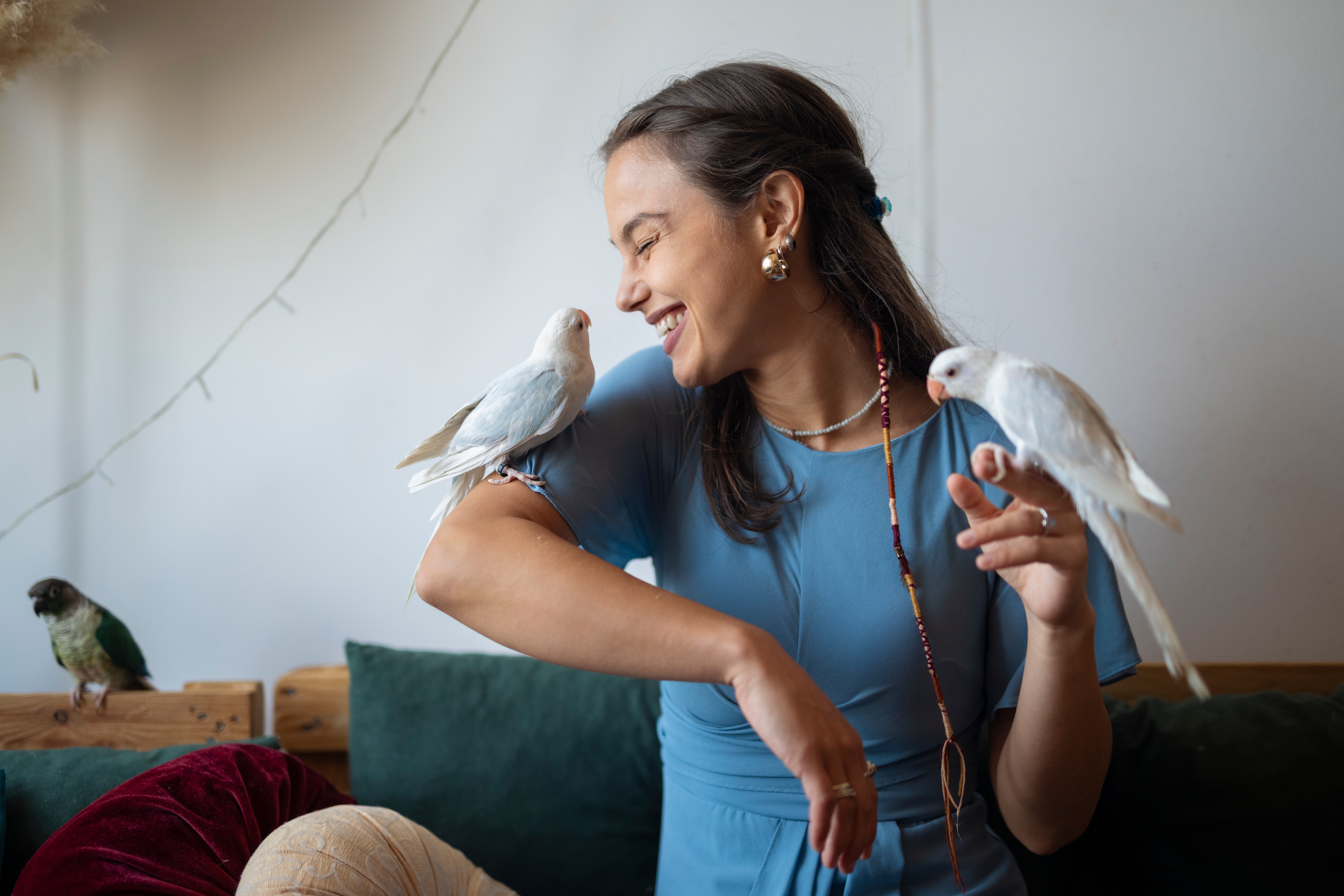 Zašto papagaji ljuljaju telo: Stručnjaci objašnjavaju kako da razlikujete igru i radost od problema