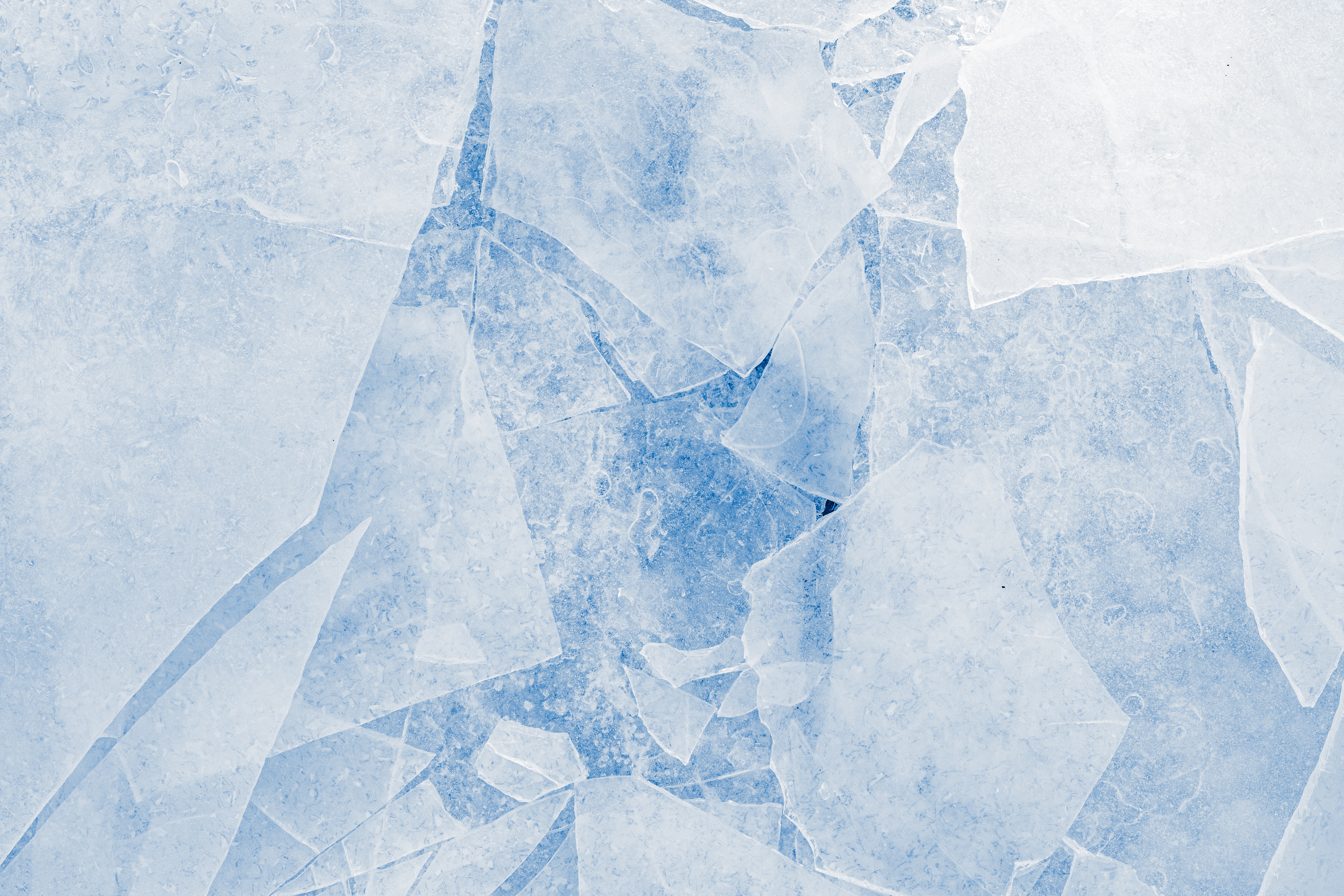 Neverovatne gljive mogu da zamrznu vodu: Spektakularno otkriće! S njima moguća modifikacija klime